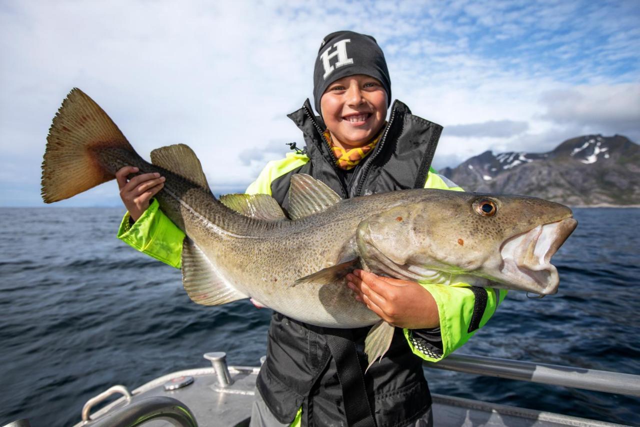 Lofoten Rorbu Lodge Offersoya Exterior foto